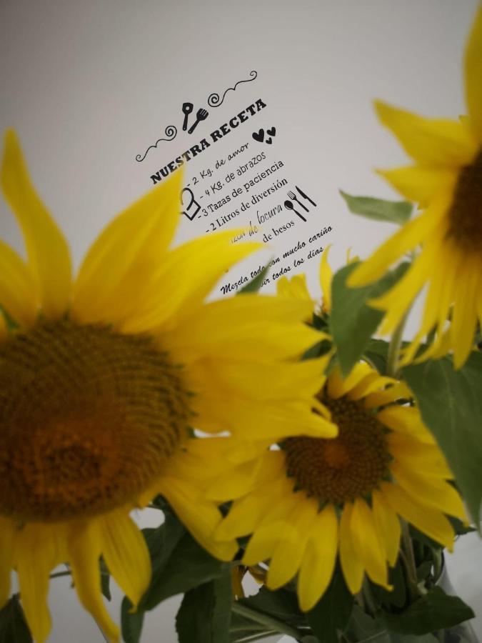 Senores Curas Conil De La Frontera Eksteriør billede